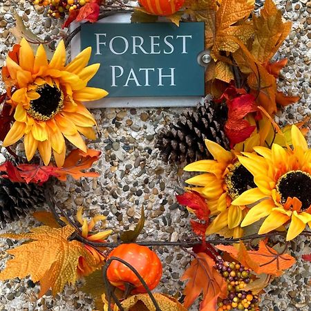 Forest Path Luxury Studio Apartment With Large Bedroom Bathroom And Sauna Sleeps Up To 4 Ballynahinch Kültér fotó