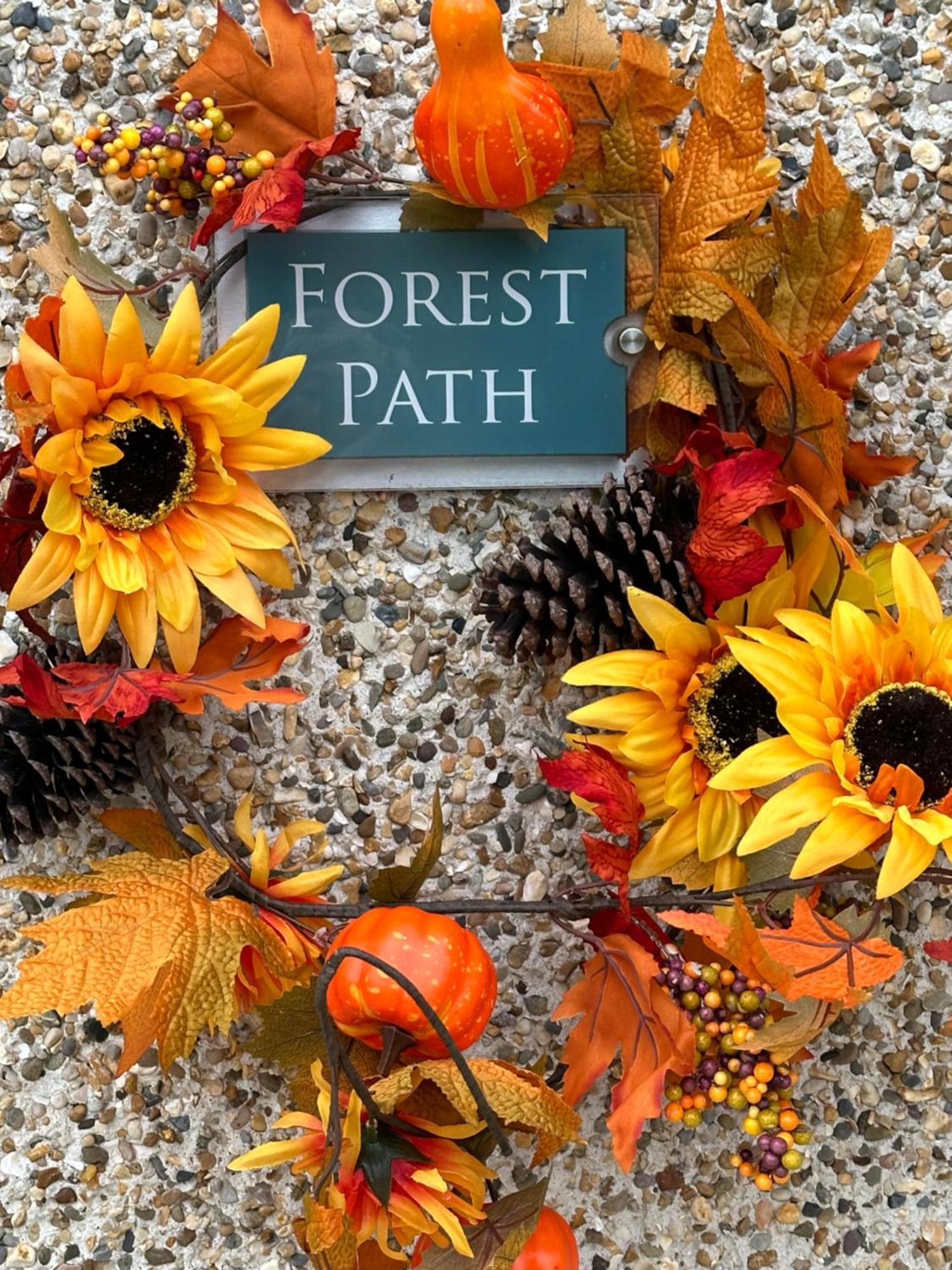 Forest Path Luxury Studio Apartment With Large Bedroom Bathroom And Sauna Sleeps Up To 4 Ballynahinch Kültér fotó